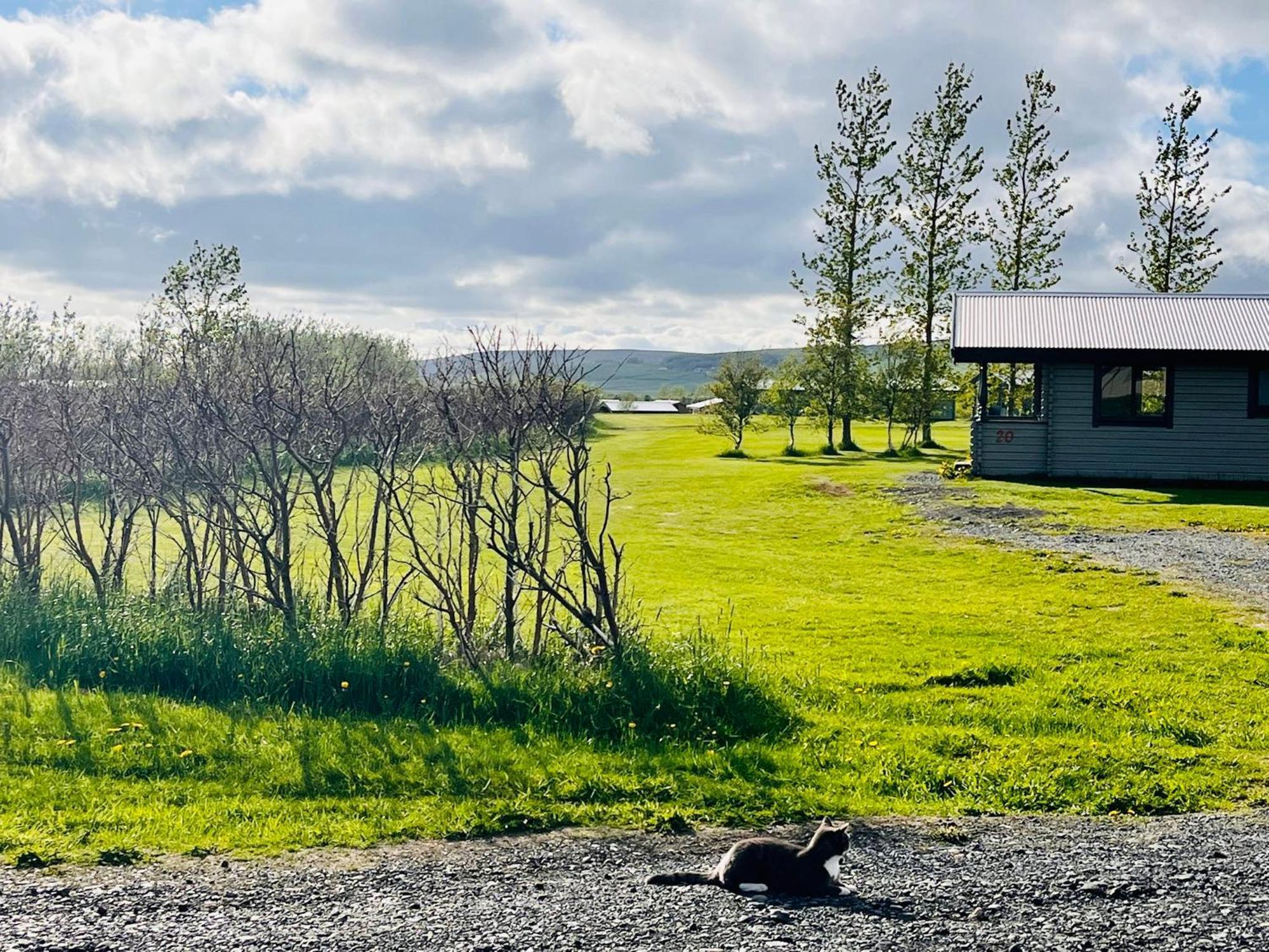 Hellisholar Cottages Hvolsvöllur Buitenkant foto